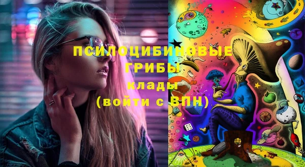 spice Кинешма