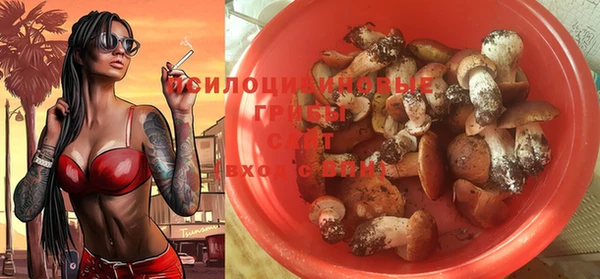 spice Кинешма