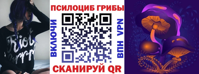 Псилоцибиновые грибы Cubensis  Купить  Гурьевск 